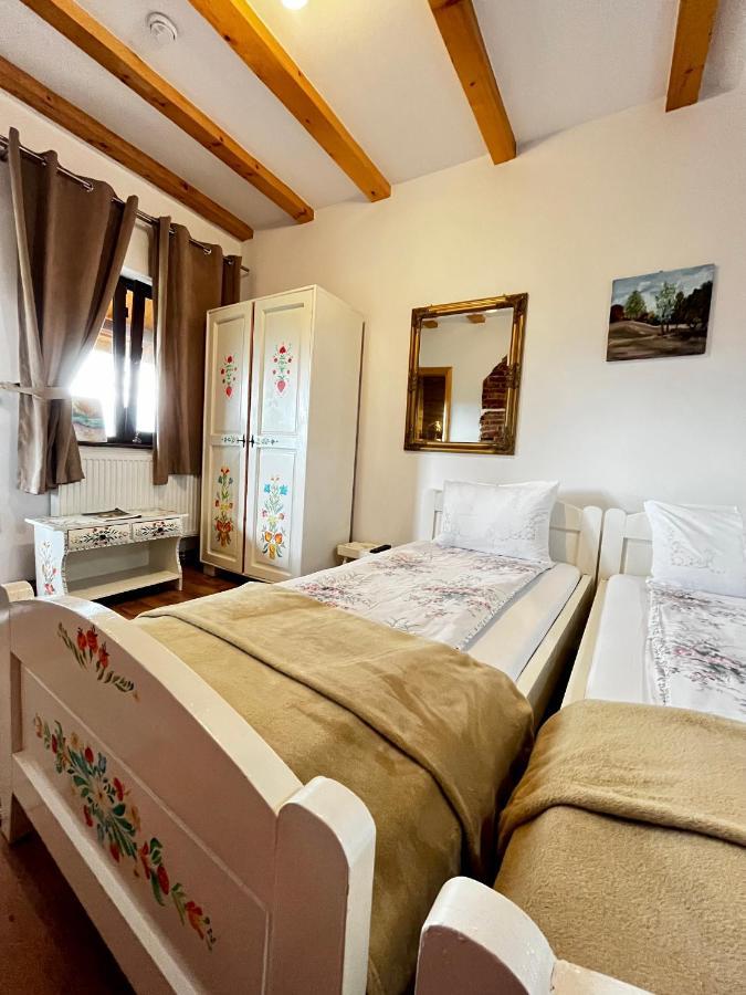 Vila Sofia Haţeg Εξωτερικό φωτογραφία