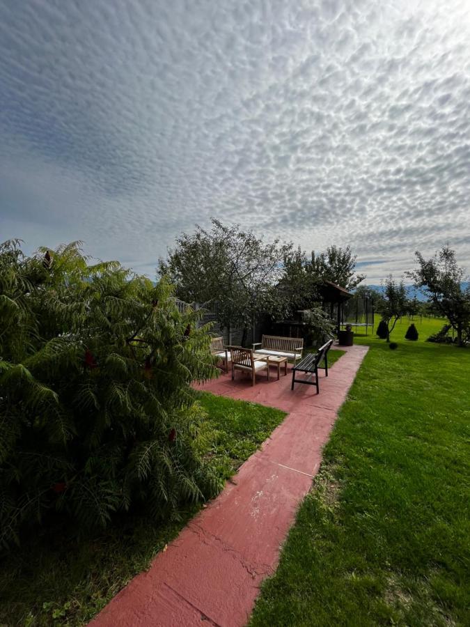 Vila Sofia Haţeg Εξωτερικό φωτογραφία