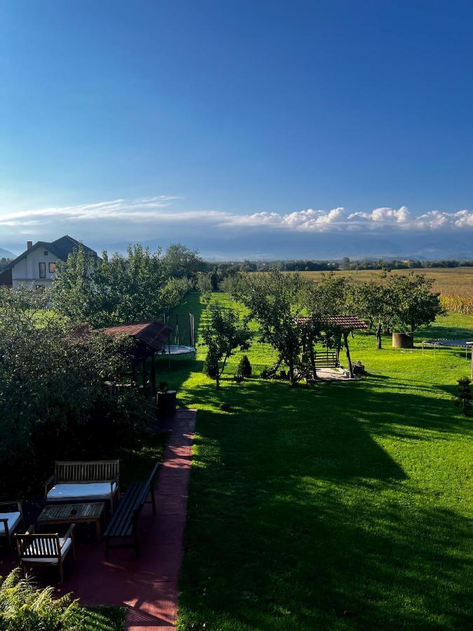 Vila Sofia Haţeg Εξωτερικό φωτογραφία