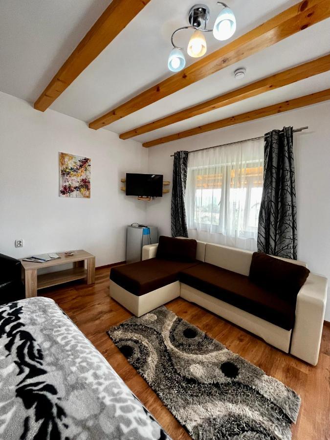 Vila Sofia Haţeg Εξωτερικό φωτογραφία